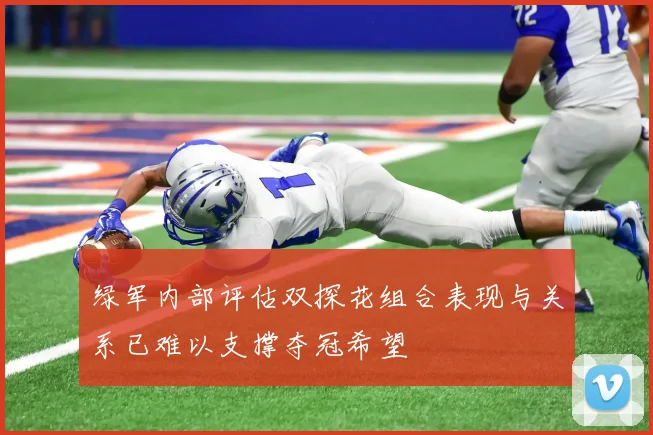 绿军内部评估双探花组合表现与关系已难以支撑夺冠希望